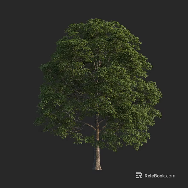 Lush Green Arbor With Dense Foliage And Strong Trunk Against Black Background 3d model 