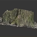 Natural Tree Stump With Green Moss And Fallen Leaves In Outdoor Scene