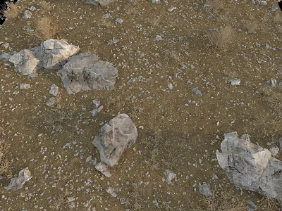 Natural Wilderness Ground With Scattered Stones And Dry Wood Pieces Among Withered Grass 3d model