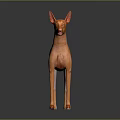 Orange Hairless Dog Standing With Alert Posture On Dark Shiny Background
