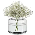 Transparent Glass Vase With Fresh White Baby's Breath Flowers In Water For Home Decor
