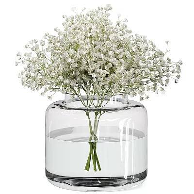 Transparent Glass Vase With Fresh White Baby's Breath Flowers In Water For Home Decor 3d model