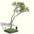 Arbor With Curved Trunks Green Leaves And Two People Standing Nearby