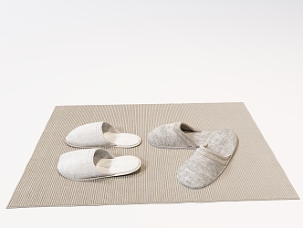 Modern Slippers Hotel Slippers Cloth Slippers Carpet 3d model