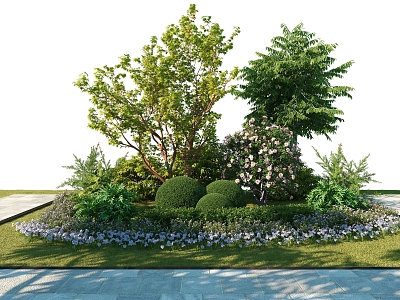 Modern Shrub Plant Combination 3d model