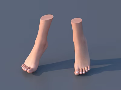 Woman's Natural Toes Feet Ankle Down Skin Tone On Gray Background 3d model