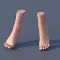 Feet Female Feet 3d model