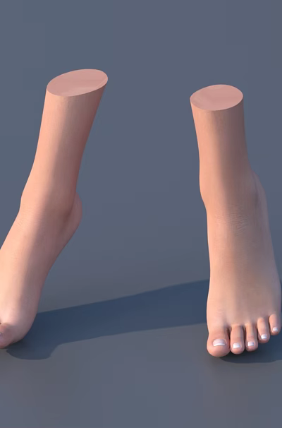 Woman's Natural Toes Feet Ankle Down Skin Tone On Gray Background 3d model