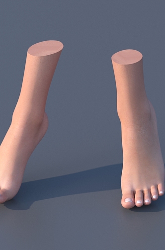 Feet Female Feet 3d model