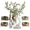 Modern Tableware Set With Green Plants Vase Bowls Plates Cups And Placemats