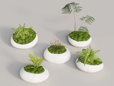 Indoor Moss Decor With White Pots Ferns And Small Stones Arrangement 3d model