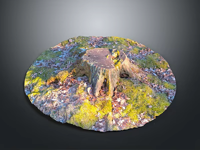 Vibrant Moss And Fallen Leaves In Sunlit Natural Setting Around Tree Stump 3d model