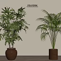 Potted Plants Indoor Decoration With Palm And Broad Leaves In Brown Pots On Wooden Floor