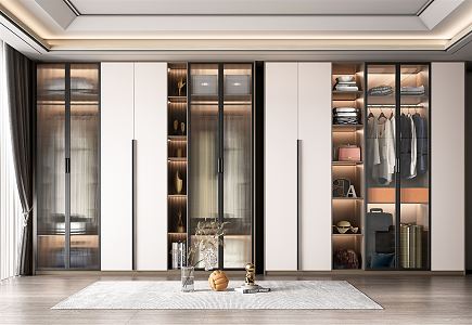 Modern wardrobe combination 3d model