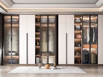 Modern wardrobe combination 3d model