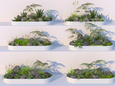 Diverse Plant Combinations In White Oval Planters With Fern Grass Stones On Light Steps 3d model