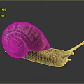 Snail Cartoon Snail Small Snail Reptile Cold Blooded Animal Reptile 3d model