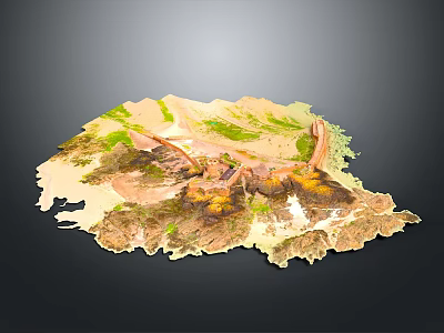 Detailed 3D Terrain Model Showing Mountain Ranges Vegetation And Topographic Features 3d model