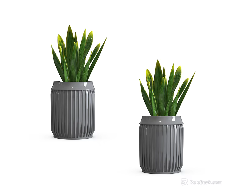 Decorative Bonsai Potted Plants In Gray Planters With Green Long Leaves 3d model 