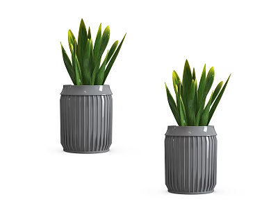 Decorative Bonsai Potted Plants In Gray Planters With Green Long Leaves 3d model