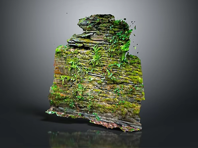 Layered Rock Structure Covered With Green Moss And Small Plants 3d model