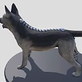 Mechanical Dog 3D Model with Detailed Mechanical Components on Black Display Base 3d model