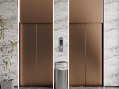 Modern Bronze Elevator Design With Marble Walls Control Panel And Potted Plant 3d model
