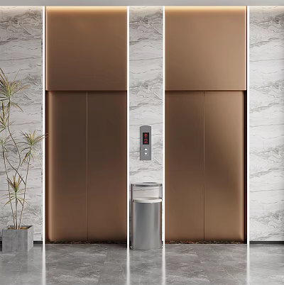 Modern Bronze Elevator Design With Marble Walls Control Panel And Potted Plant 3d model