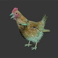 Realistic 3D Model Of Brown Chicken With Red Comb And Spread Wings