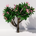 Lush Arbor Outdoor Landscape With Green Foliage And Pink Flowers
