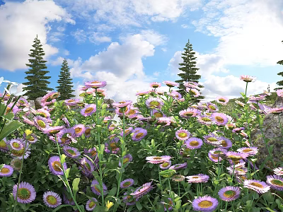 Blooming Purple And Pink Flowers Under Blue Sky With White Clouds And Tall Pine Trees 3d model