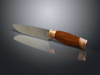 Reflective Weapon Knife With Silver Blade Wooden Handle And Gold Decorative Trim 3d model