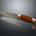 Reflective Weapon Knife With Silver Blade Wooden Handle And Gold Decorative Trim