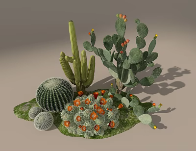 Desert Plant Combination With Round Columnar Cactus Orange Fruits And Succulents 3d model