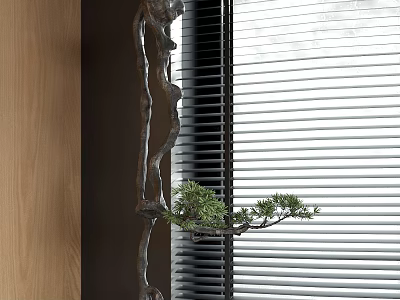 New Chinese Bonsai Pine 3d model