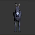 Gray Donkey Standing With White Nose And Ears Against Dark Gradient Background With Reflection