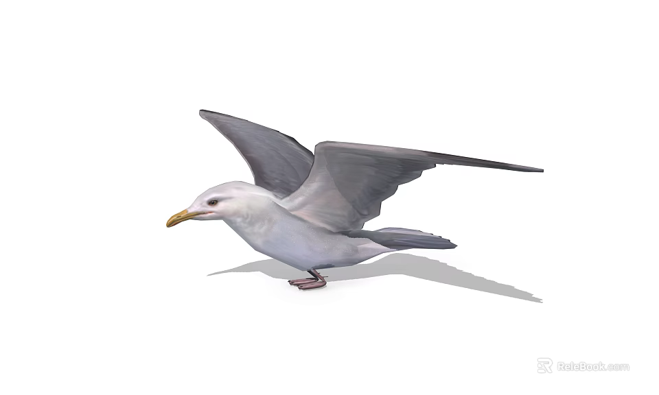 Realistic Seagull Spreading Wings With White Feathers Yellow Beak And Detailed Plumage Pose 3d model 