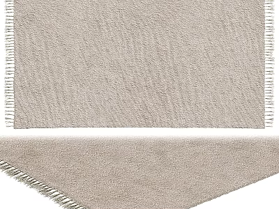 Soft Beige Square Rug With Textured Surface Fringed Edges And Plush Feel For Living Space 3d model