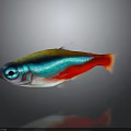 Vibrant Colorful Fish With Blue Red Green Stripes Shiny Body And Reflection