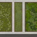 Three Framed Indoor Living Plant Wall Panels with Moss Ferns and Greenery