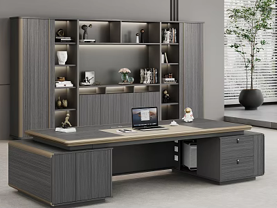 Modern Office Desk Interior With Gray Bookshelf Laptop And Potted Plant 3d model