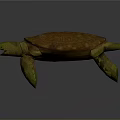 Brown Shell Turtle With Geometric Patterns Green Head And Limbs On Gray Background