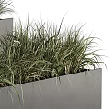 Green Grassy Potted Plants In Black And Gray Rectangular Planters Arrangement 3d model