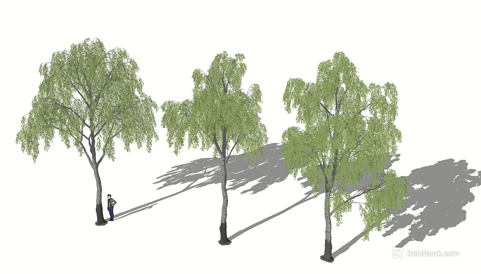 Three Tall Arbor Trees With Green Leaves Providing Shade And Natural Scene 3d model 