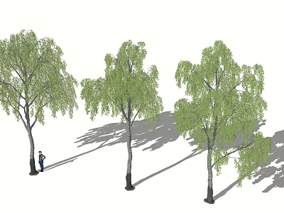 Three Tall Arbor Trees With Green Leaves Providing Shade And Natural Scene 3d model