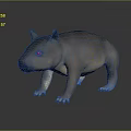Realistic 3D Wombat Model With Brown Fur Stocky Body And Short Legs