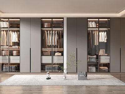 Modern Wardrobe Interior Design With Glass Doors Hanging Clothes And Storage Drawers 3d model