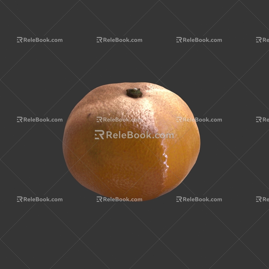 Orange Fruit Orange Orange Orange Orange Citrus 3d model