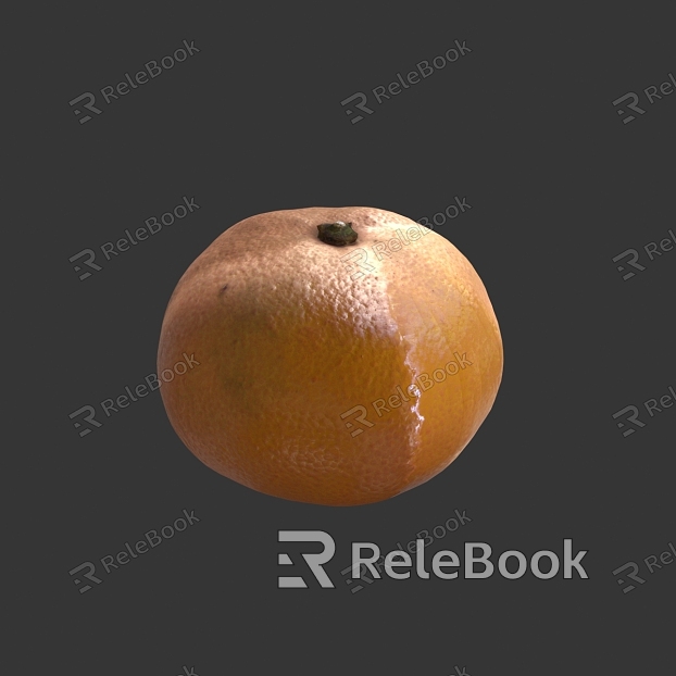 Orange Fruit Orange Orange Orange Orange Citrus model