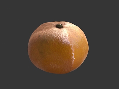 Orange Fruit Orange Citrus model